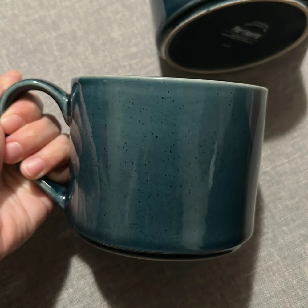 Pier 1 Imports Stoneware Large Mugs Teal Set of 2